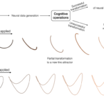 generative-ai-as-a-transformational-logic-for-cognitive-neuroscience-–-communications-biology
