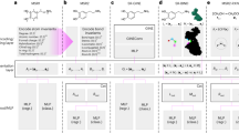 multimodal-graph-based-deep-learning-for-predicting-heat-of-combustion-as-a-key-hazard-indicator-under-ghs/clp-standards-–-scientific-reports