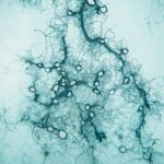 two-ucsb-led-projects-selected-for-doe’s-genesis-mission