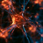 learning-depends-on-refining-existing-neural-connections-–-neuroscience-news