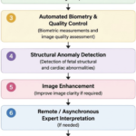 artificial-intelligence-assisted-fetal-ultrasound-in-low-resource-settings:-opportunities,-challenges,-and-future-directions