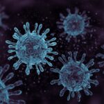 ai-creates-16-new-viruses-that-never-existed-in-nature-after-learning-dna’s-pattern-from-9-trillion-nucleotides-—-experts-warn-such-applications-are-way-ahead-of-necessary-guardrails