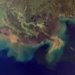 meas-researchers-lead-$1m-nsf-project-using-ai-to-forecast-coastal-dead-zones