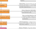 an-intelligent-deep-combined-vector-optimized-learner-(dcol)-for-plant-leaf-disease-identification-and-class-prediction-–-scientific-reports