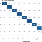 developing-and-evaluating-automated-deep-learning-and-human-in-the-loop-vision–language-systems-for-microplastic-characterization-–-scientific-reports