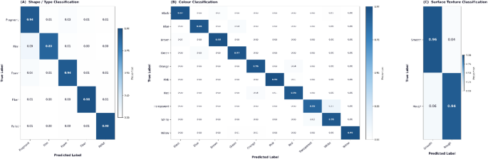 developing-and-evaluating-automated-deep-learning-and-human-in-the-loop-vision–language-systems-for-microplastic-characterization-–-scientific-reports