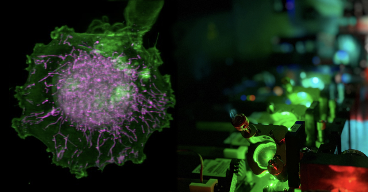virtual-cells-built-from-4d-ai-models-and-“digital-twins”-could-speed-up-drug-discovery