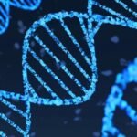 scalable-machine-learning-model-maps-complex-genomic-enhancers-across-tissues