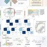 ai-framework-identifies-cannabidiol-as-a-potential-ischemic-stroke-therapy
