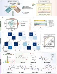 ai-framework-identifies-cannabidiol-as-a-potential-ischemic-stroke-therapy