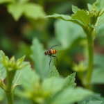 ai-that-shows-its-work:-explainable-deep-learning-spots-crop-pests-in-real