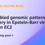 ai-enabled-genomic-pattern-discovery-in-epstein-barr-virus-on-amazon-ec2-|-amazon-web-services